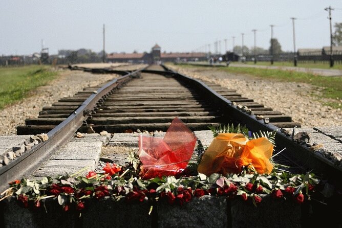 Auschwitz and Birkenau Guided Tour from Krakow - Food and drinks not included: plan your calories and your schedule
