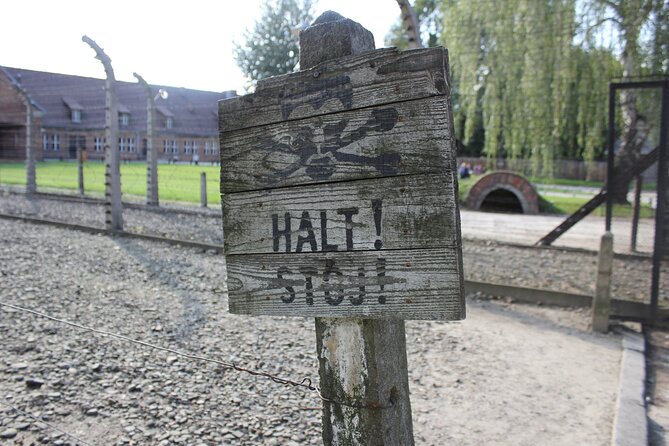 Auschwitz and Birkenau Memorial and Museum Guided Tour from Krakow - The ride: air-conditioned comfort with a serious purpose