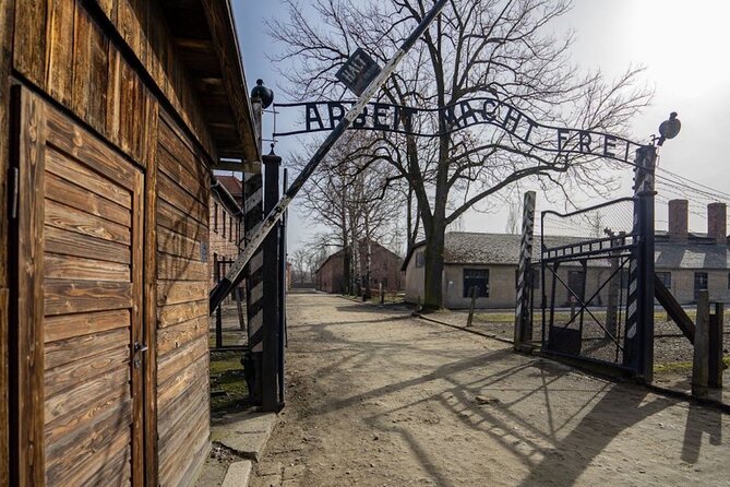 Auschwitz and Birkenau Tour - Headsets and guide delivery: how to make sure you actually hear the story