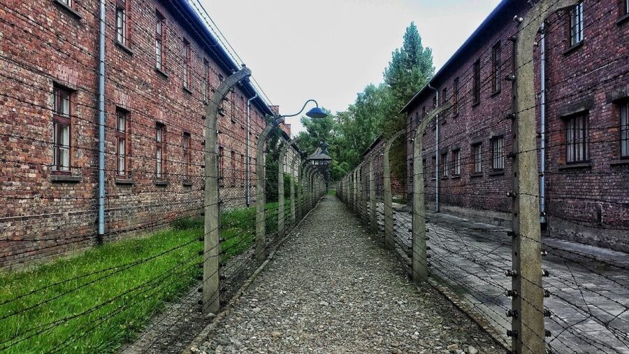 Auschwitz-Birkenau and Krakow Private Car Trip from Katowice - Comfort, food, and the remote-day reality