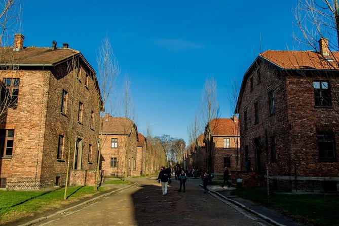 Auschwitz Birkenau and Salt Mine Full Day Guided Tour from Krakow hotel pick up - Key things that make this tour work