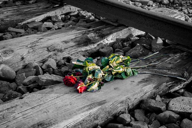 Auschwitz Birkenau and Salt Mine Full Day Guided Tour from Krakow hotel pick up - Transportation and pacing: the long-day math