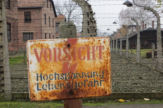 Auschwitz- Birkenau and Salt Mine in Wieliczka in one day with private transport - Headphones, driver-guide, and why the small details help