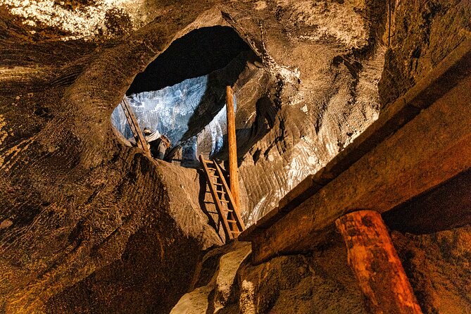 Auschwitz Birkenau and Wieliczka Salt Mine Day Tour from Krakow - Price and value: what you’re actually paying for