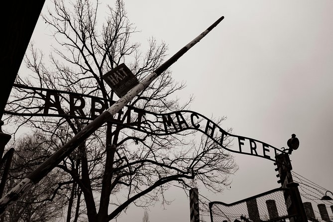 Auschwitz-Birkenau and Wieliczka Salt Mine Day Tour from Krakow with private car - Key reasons this private day tour makes sense