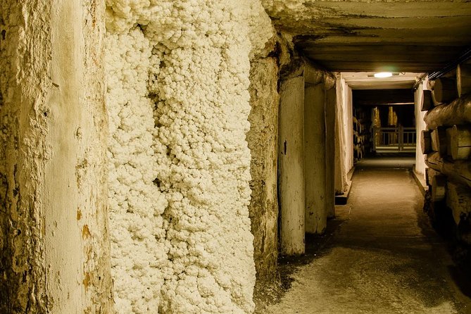 Auschwitz-Birkenau and Wieliczka Salt Mine Day Tour from Krakow with private car - Auschwitz-Birkenau: what the guided visit feels like