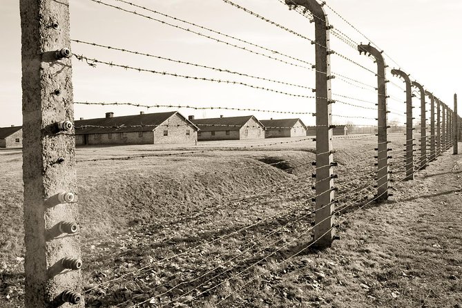 Auschwitz- Birkenau and Wieliczka Salt Mine in One Day - Auschwitz II-Birkenau: transfer, scale, and why one hour still hits