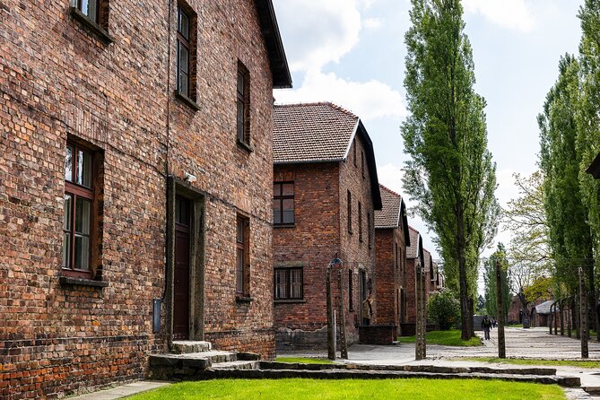 Auschwitz-Birkenau: Day Trip & Transfer from Kraków - The Hidden Challenge: Tight Breaks, Long Walks, and Weather