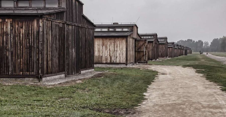 Auschwitz-Birkenau: Entrance Ticket and Live Tour Guide - Auschwitz I Tour Focus: Barracks, Watchtowers, and Crematoriums