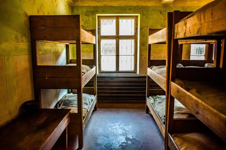 Auschwitz-Birkenau: Entrance Ticket and Live Tour Guide - Who This Tour Is Best For