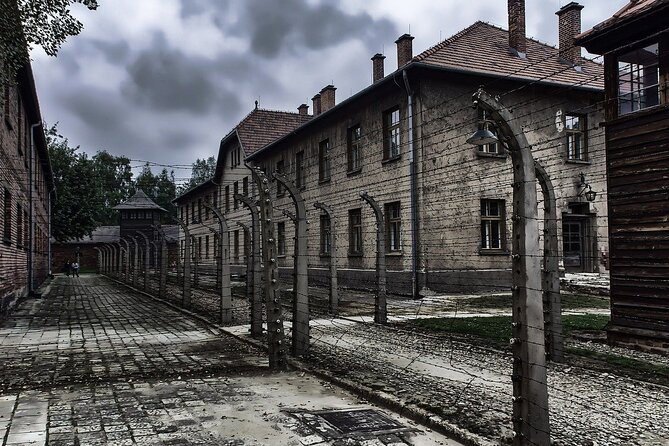 Auschwitz-Birkenau: Entry Ticket with Guided Tour - Price and What You Get for $52.25