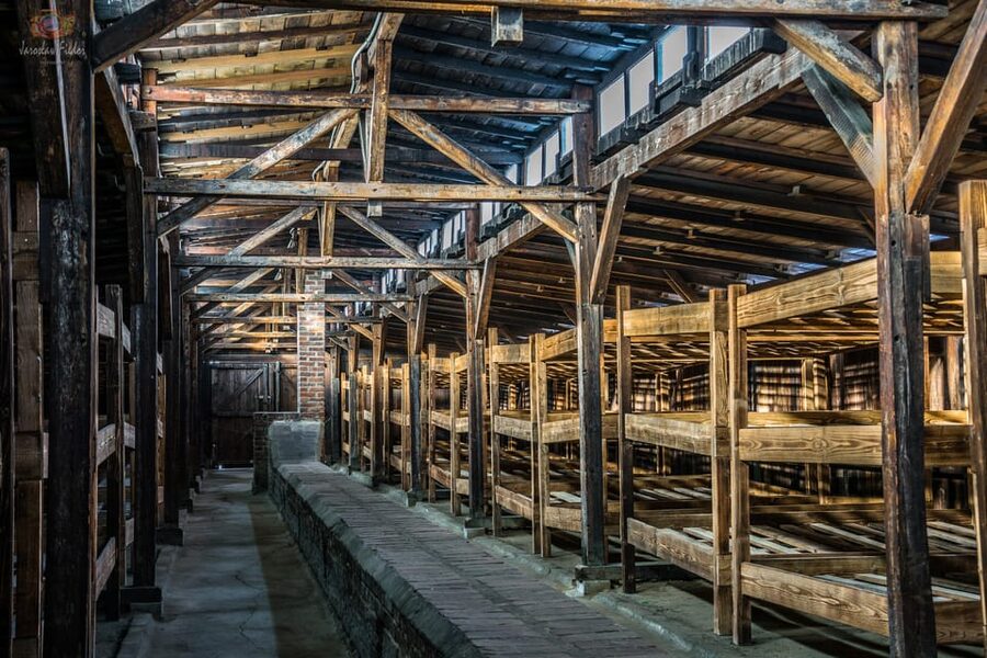 Auschwitz-Birkenau: Guided Tour and Skip-The-Line Ticket - Who This Tour Fits (and Who Should Reconsider)