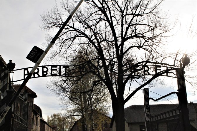 Auschwitz-Birkenau Guided Tour by Private Transport from Krakow - Value check: does $180.57 make sense?
