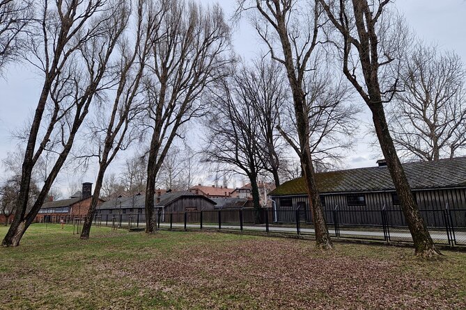 Auschwitz-Birkenau Guided Tour from Krakow opt. with Hotel Pickup - Auschwitz II Birkenau in One Hour: Fast Pace, Big Impact
