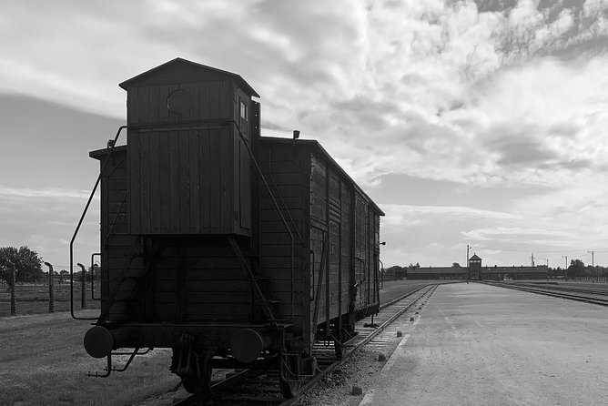 Auschwitz-Birkenau guided tour from Krakow - private car - Timing and Logistics: Getting the Most From a 6.5-Hour Day