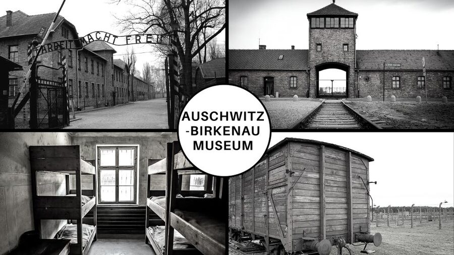 Auschwitz-Birkenau Guided Tour & Transfer from Krakow - Auschwitz II-Birkenau: seeing the scale of what was built