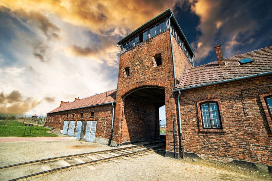 Auschwitz-Birkenau Guided Tour & Transfer from Krakow - Guides, drivers, and why the human touch shows up in the details
