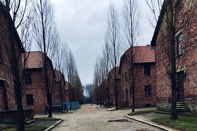 Auschwitz-Birkenau Guided Tour with Private Transport from Krakow - Timing and pacing: how a 7–8 hour day actually plays out