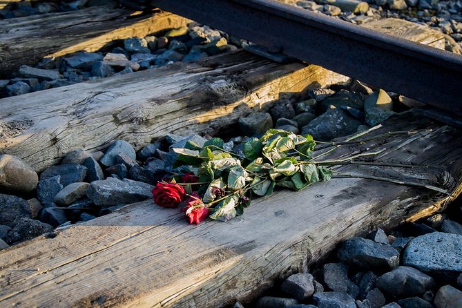 Auschwitz Birkenau Guided Tour with Ticket Hotel Pickup Small Van - Lunch and the time between camps: plan for short breaks
