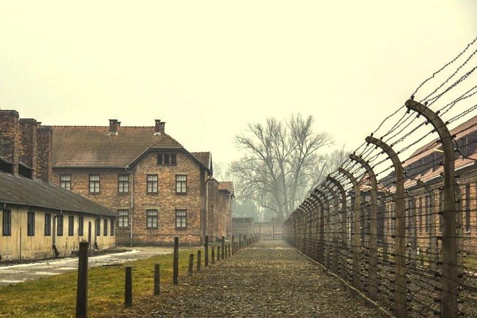 Auschwitz Birkenau Memorial and Museum group tour from Krakow - Audio and respectful pacing: hearing the guide without missing context
