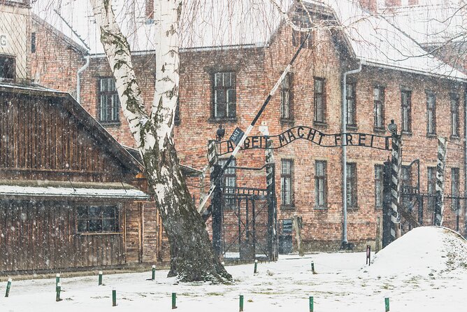 Auschwitz-Birkenau Memorial and Museum Guided Tour from Krakow - Group size and pace: the sweet spot, with one tradeoff
