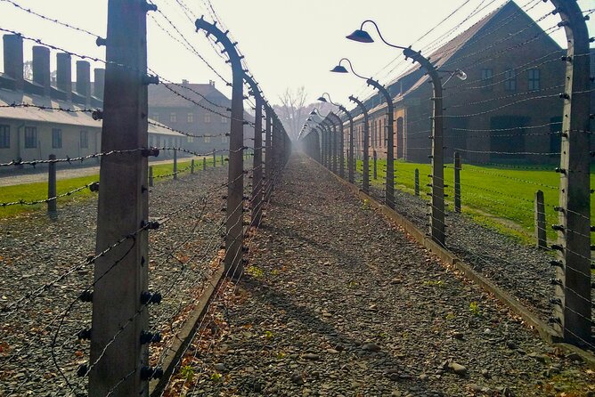 Auschwitz-Birkenau Memorial and Museum Guided Tour from Krakow - Shuttle Between Camps: Small Logistics, Big Stress Reduction