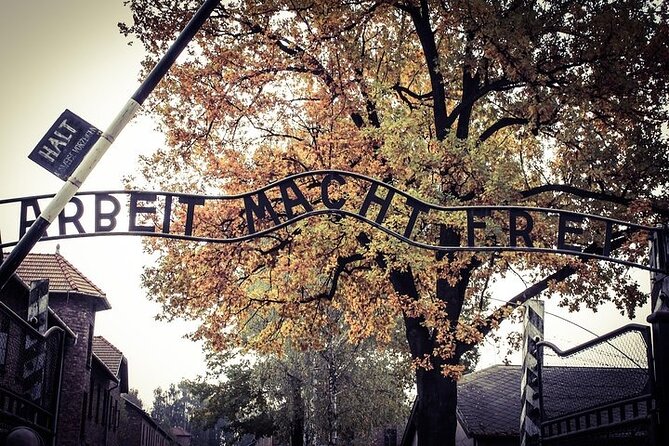 Auschwitz-Birkenau Memorial Entrance Ticket and Guided Tour - How long it lasts and how to pace your emotions