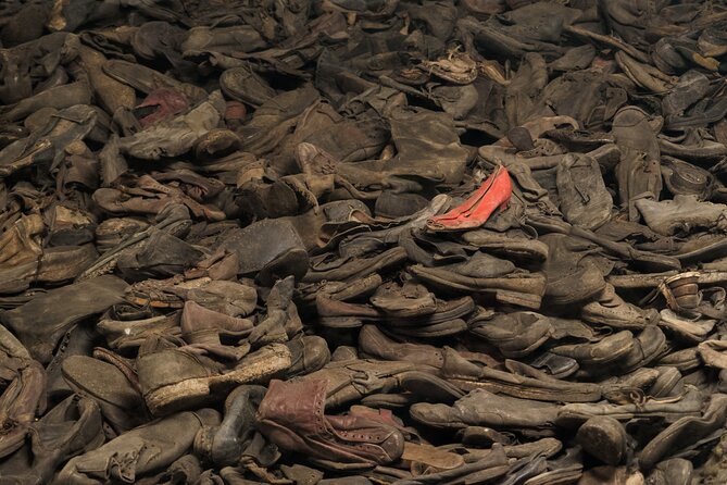 Auschwitz-Birkenau Memorial Entrance Ticket and Guided Tour - Who this tour is best for (and who might consider alternatives)