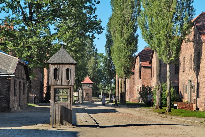 Auschwitz-Birkenau Museum and Memorial Guided Tour from Krakow - Auschwitz-Birkenau from Krakow: what this guided format gets right