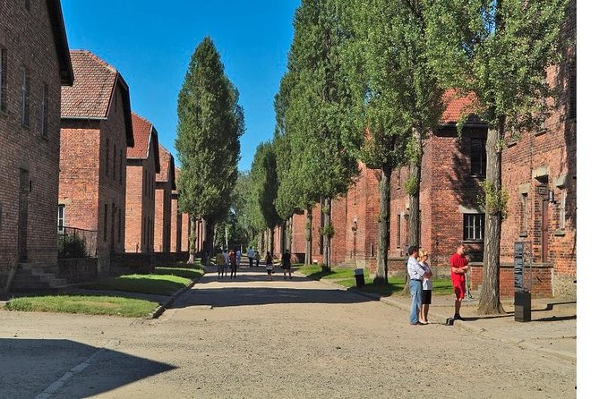 Auschwitz-Birkenau Museum and Memorial Guided Tour from Krakow - Birkenau II: watchtowers, fences, and the memorial walk feel