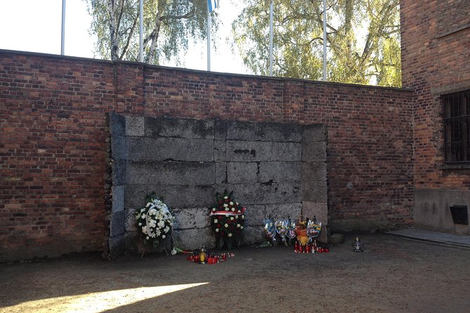 Auschwitz-Birkenau Museum and Memorial Guided Tour from Krakow - Price and value for $83.44: what’s included and what you still need to handle
