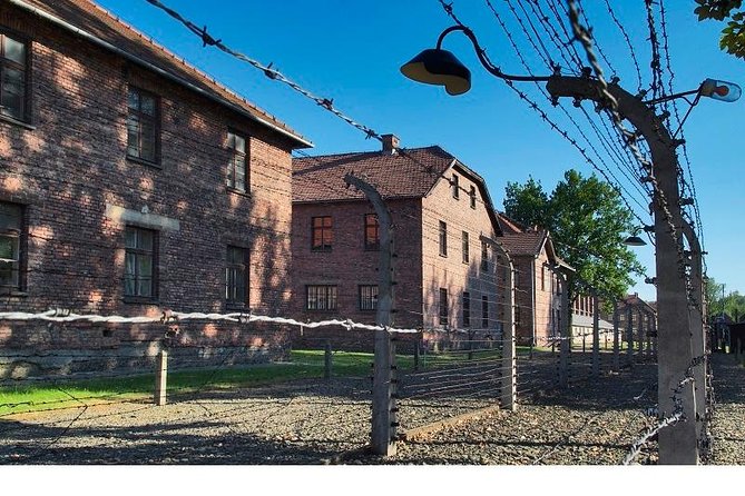 Auschwitz-Birkenau Museum and Memorial Guided Tour from Krakow - Who should book this Auschwitz day tour (and who might prefer a different plan)