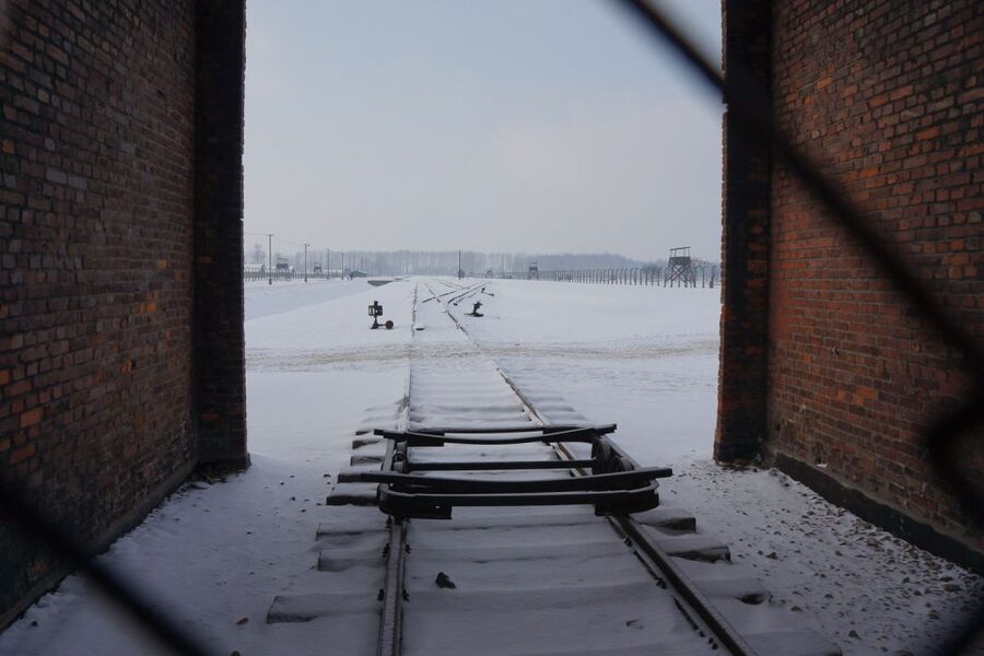 Auschwitz-Birkenau: Museum Entry Ticket with Guided Tour - Rules that can derail your day (so read them like a checklist)