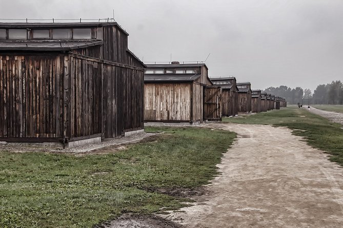 Auschwitz-Birkenau Private Tour from Krakow - Your guides: friendly help, clear access, and a few real-world quirks