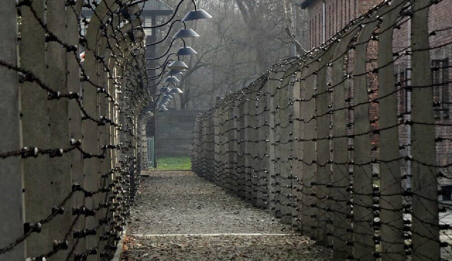 Auschwitz-Birkenau & Salt Mine Tour in One Day from Krakow - Key Points at a Glance