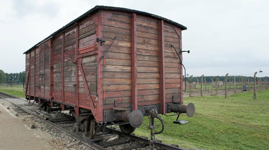 Auschwitz-Birkenau & Salt Mine Tour in One Day from Krakow - Logistics and Rules That Affect Your Day