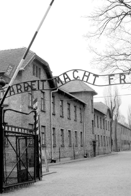 Auschwitz-Birkenau & Salt Mine Tour in One Day from Krakow - Who This One-Day Combo Suits Best