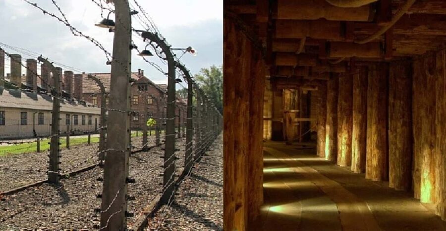 Auschwitz-Birkenau & Salt Mine Tour in One Day from Krakow - Booking Tips: How to Get the Day You Want