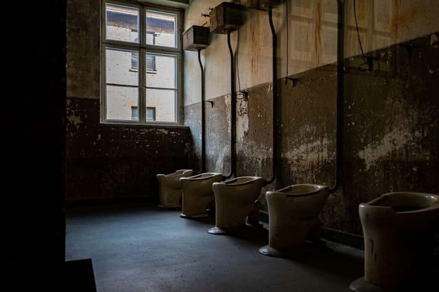Auschwitz-Birkenau: Skip-the-Line Entry and Guided Tour - Skip-the-line entry and guided pacing: the real reason this tour works