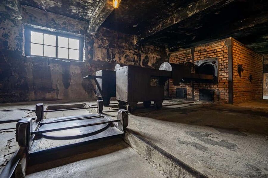 Auschwitz-Birkenau: Skip-the-Line Entry and Guided Tour - Who should book this Auschwitz-Birkenau tour