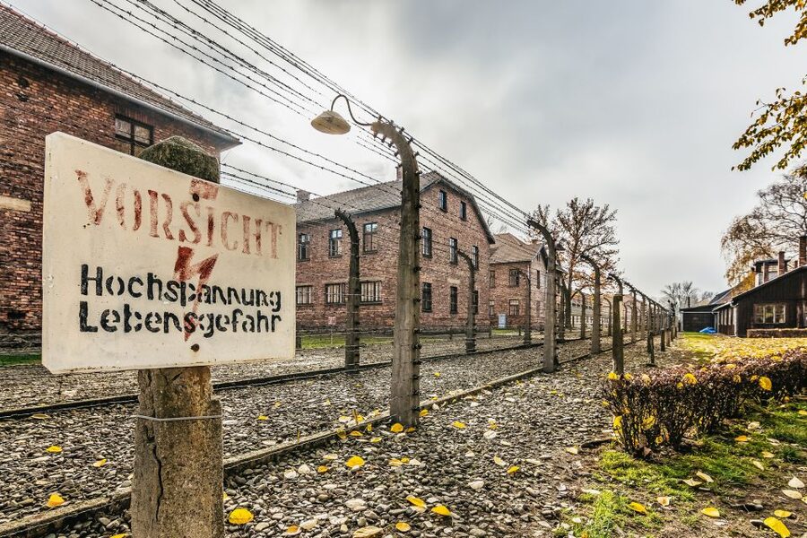 Auschwitz-Birkenau: Skip-the-Line Entry Ticket & Guided Tour - Skip-the-Line Entry and Headsets: Your Best Time Saver