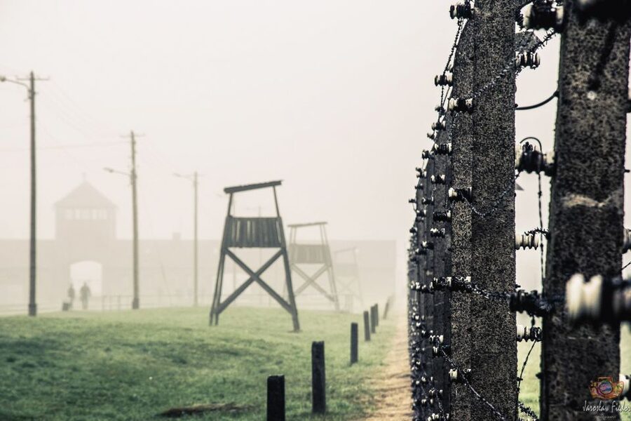 Auschwitz-Birkenau: Skip-the-Line Entry Ticket & Guided Tour - Birkenau: Where the Scale Becomes Unavoidable