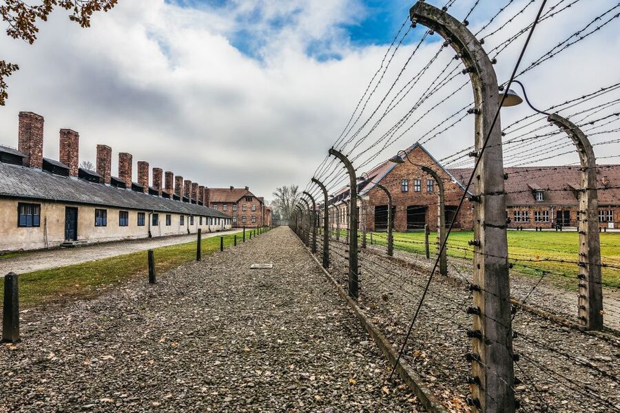 Auschwitz-Birkenau: Skip-the-Line Entry Ticket & Guided Tour - Communication, Meeting Point, and How to Avoid Start-Day Headaches
