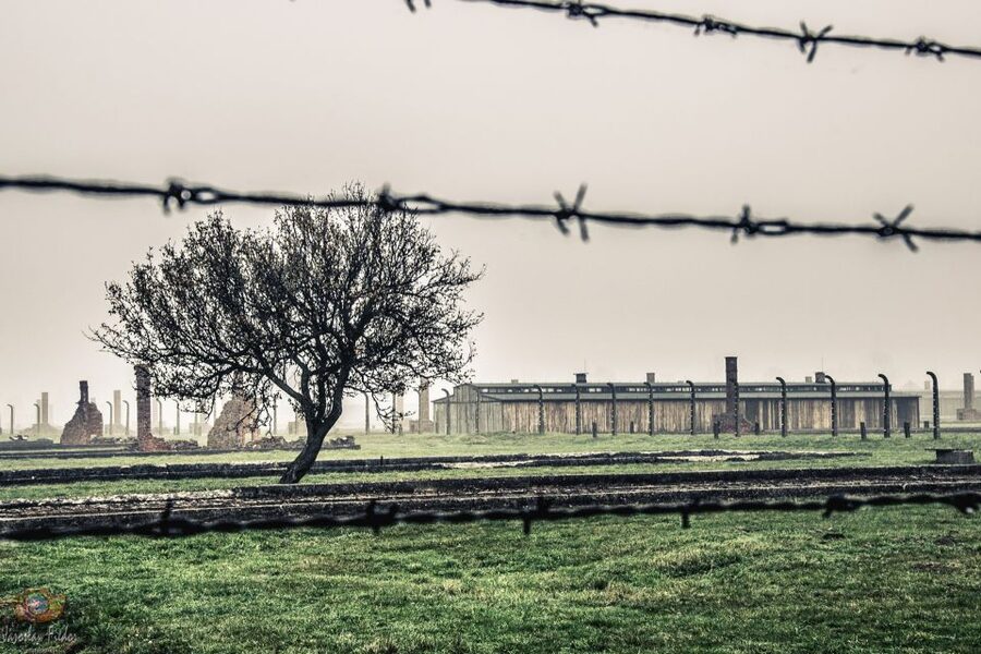 Auschwitz-Birkenau: Skip-the-Line Entry Ticket & Guided Tour - Meeting point and security: how to keep your morning from turning into stress