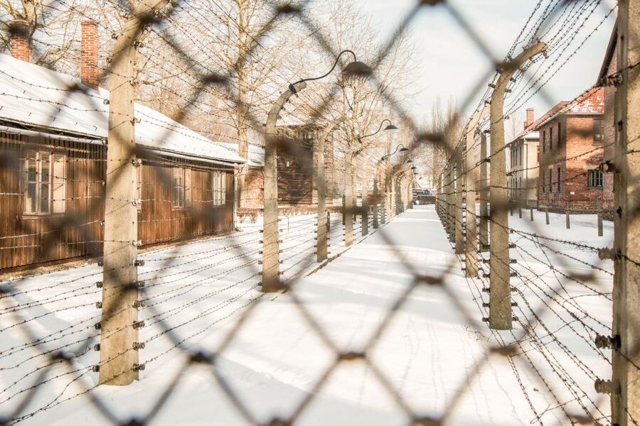 Auschwitz-Birkenau: Skip-the-Line Ticket and Guided Tour - Time management: the lunch window, the 210 minutes, and your reality check