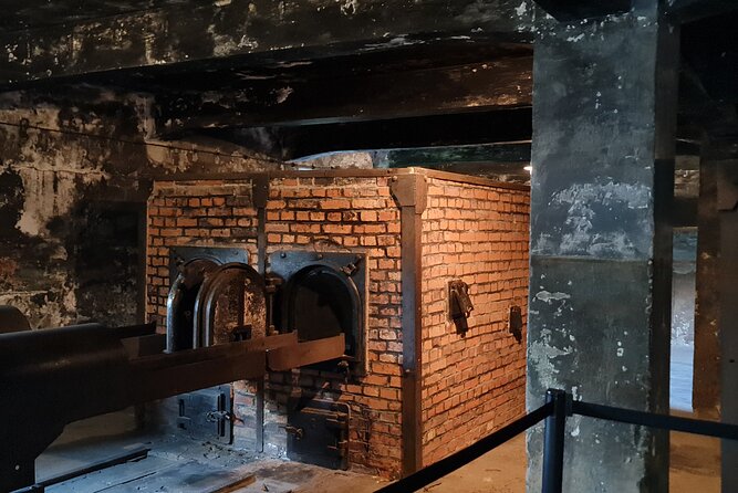 Auschwitz Birkenau tour from Krakow - Timing realities: museum capacity and day-of changes