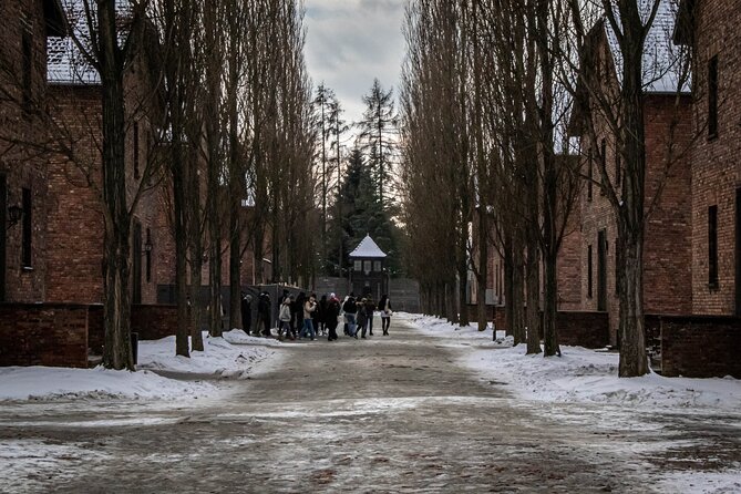 Auschwitz Birkenau Tour from Krakow: Private Transfer + Ticket - Birkenau (Auschwitz II) at Brzezinka: where the scale hits