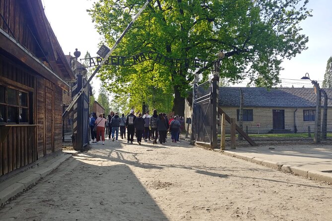 Auschwitz Birkenau Tour with Private Transport from Kraków - Brzezinka at Birkenau: why the order matters