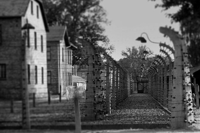 Auschwitz Birkenau Transfer and Guide with Salt Mine Combo Option - Price and value: is $80.24 a smart deal for this day?