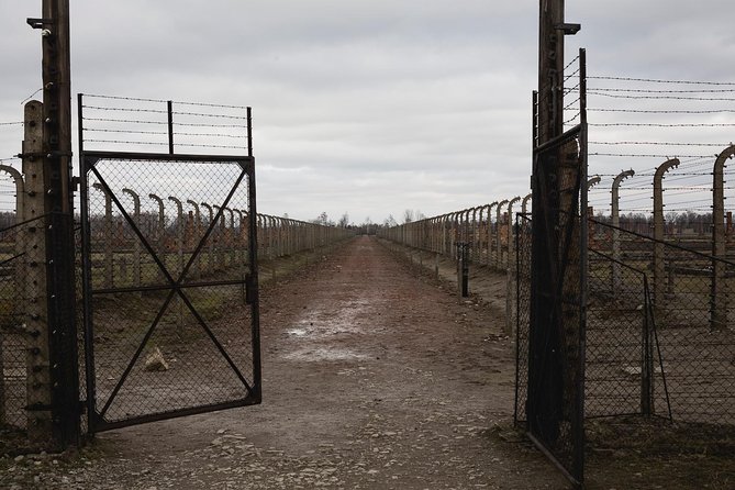 Auschwitz-Birkenau & Wieliczka in one day (Guided tour) - Price and value: where $156 really goes